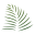 tarapoto.com icon