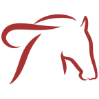 targarealestate.com icon
