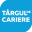 targuldecariere.ro icon