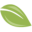 taxleaf.com icon