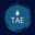 teachingartistexchange.com icon