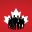 teamarora.com icon