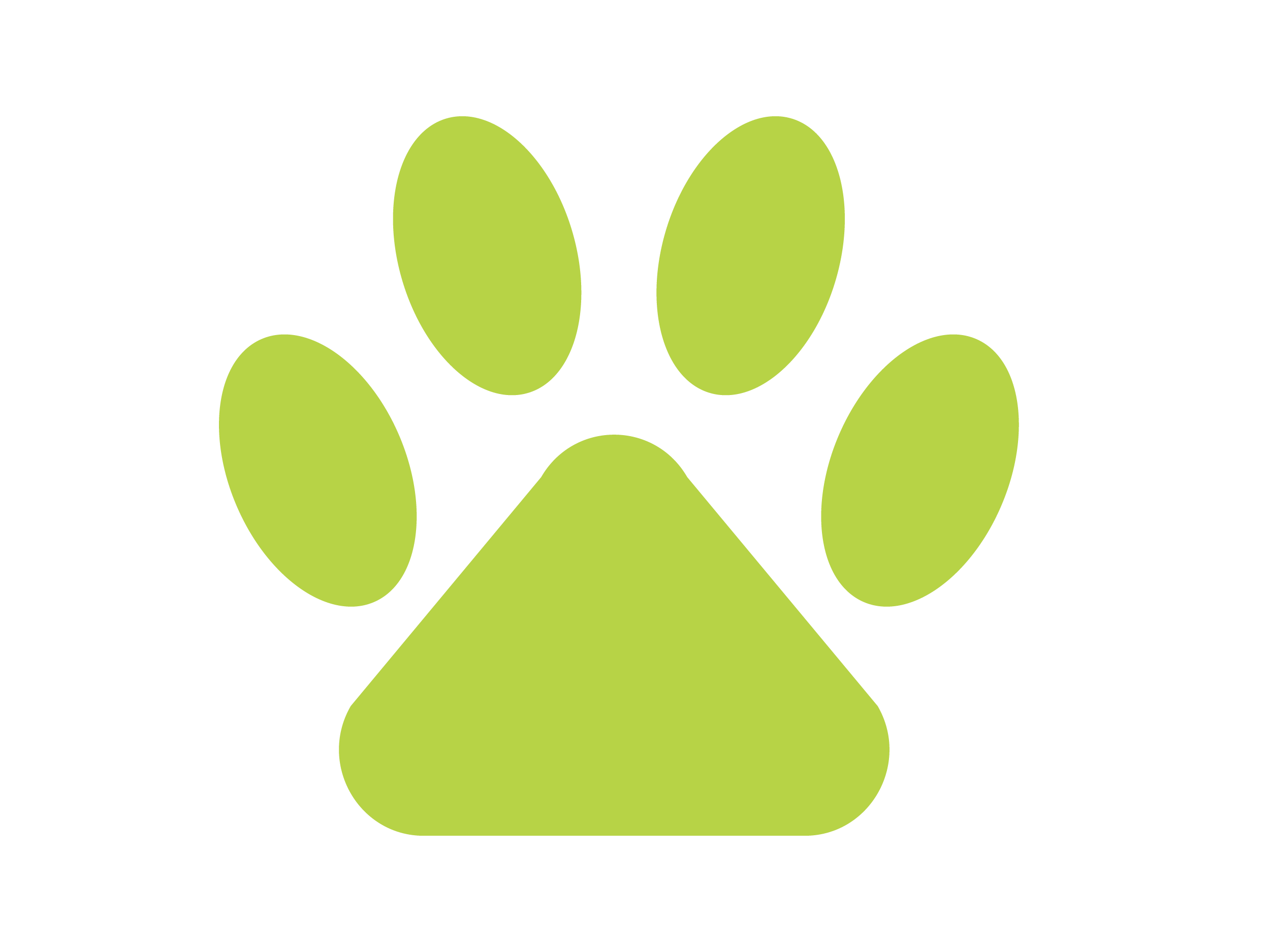 teamcanin.com icon