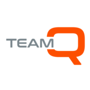 teamq.biz icon