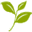teaway.it icon