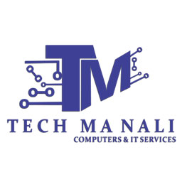 techmanali.in icon