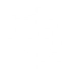 technologynavigators.com icon
