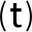techuplabs.com icon