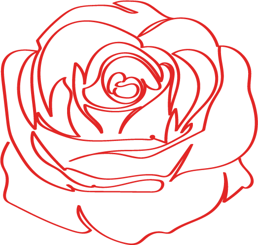 tedeseo.com icon
