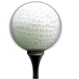 tee1golf.com icon