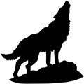teenwolfonline.org icon