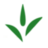 teetalk.de icon