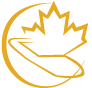 telecomsummit.com icon