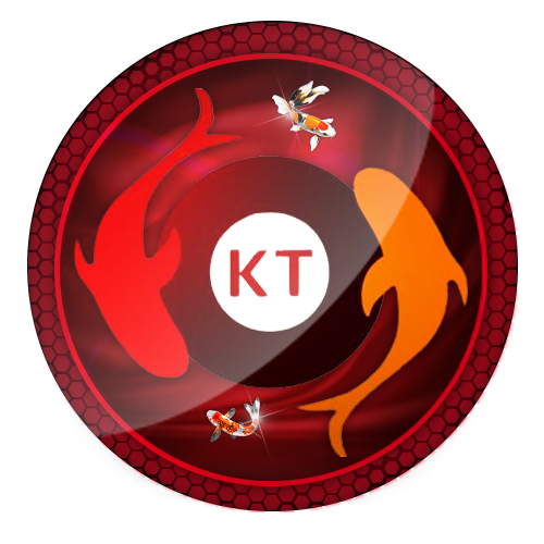 temperatureconcepts.com icon