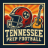 tennesseeprepfootball.com icon