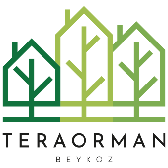 teraorman.com.tr icon
