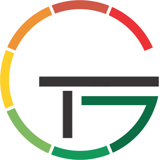termicg.ro icon
