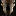 terrorinthenighthalloweenproductions.com icon