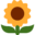 the-naturism.xyz icon