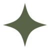 theancestralnutritionfoundation.org icon