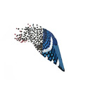 thebandcampdiaries.com icon