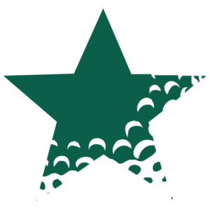 thebattleofstars.com icon