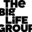 thebiglifegroup.com icon
