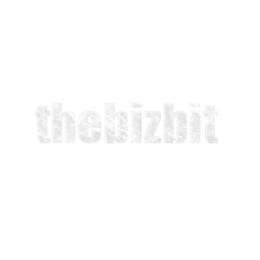 thebizbit.cv icon