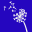 theblossomcharity.co.uk icon