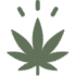 thebrothersapothecary.com icon