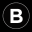 theburgnews.com icon