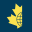 thebusinesscouncil.ca icon
