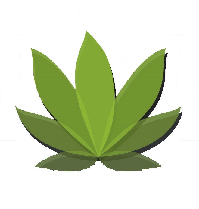 thecannacpas.com icon
