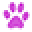 thecatpractice.com icon