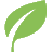 The Cleaning Authority logo
