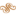The Club at Renaissance logo