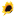thecoachingtoolscompany.com icon