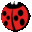 thecoccinella.org