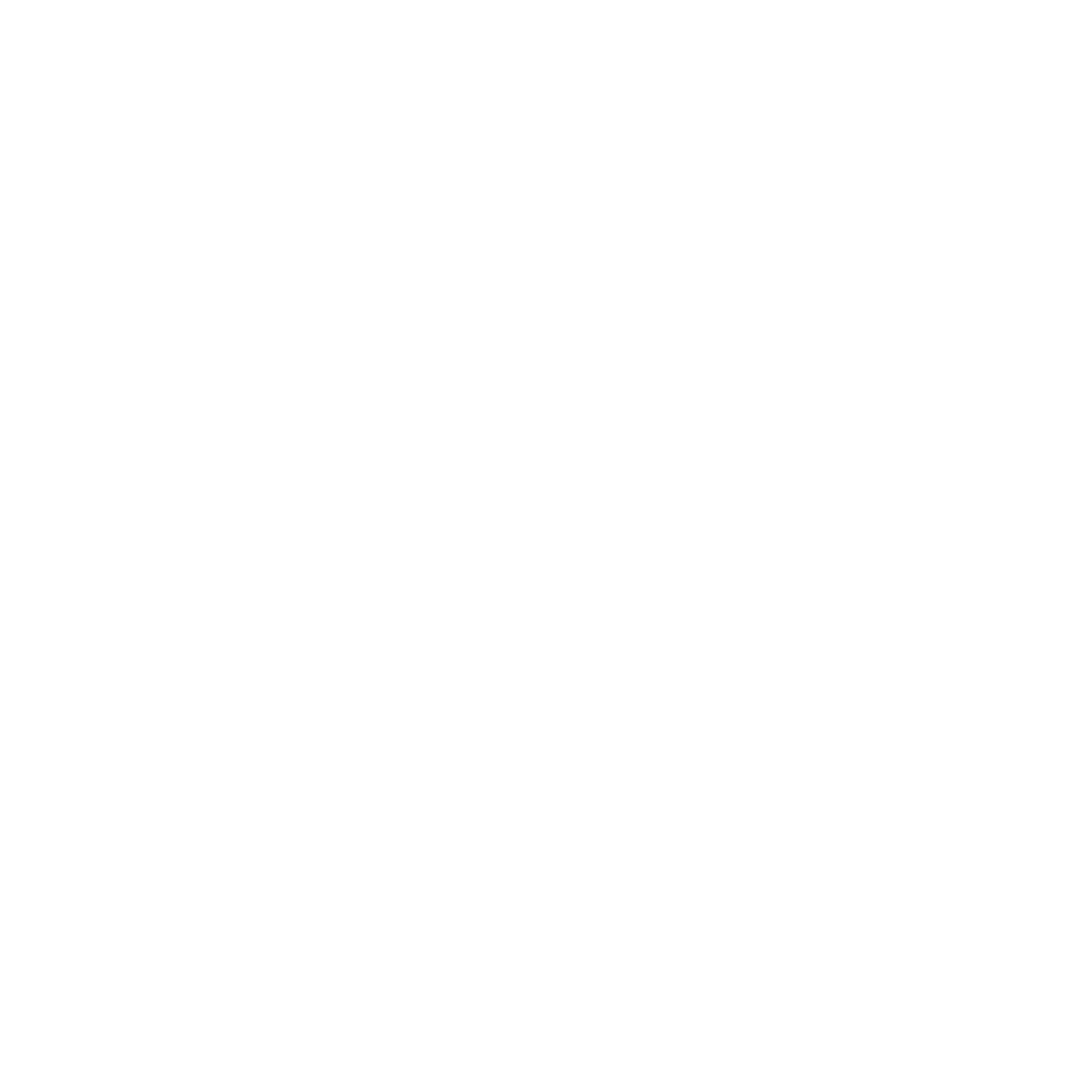 theconsultingforge.com icon