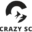 thecrazyscribe.com icon