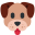 thedailygroomer.com icon