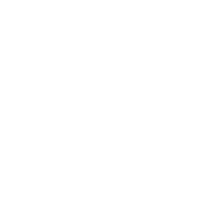 theendlessweb.com logo