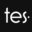 theevasite.com icon