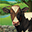 thefarmerscow.com icon