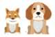 thefidotrail.com logo