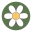 thefriendlyfig.com icon