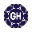 theghgn.com icon