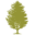thegreatmaple.com icon