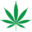 thegreenerinstitute.com icon