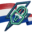 thehaguepeacejusticesecuritycourses.com icon